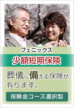 少額短期保険|日本フェニックス